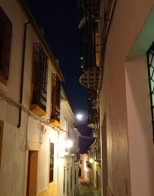 Ferienwohnung Precioso Loft En El Centro De Cordoba. Exterior foto