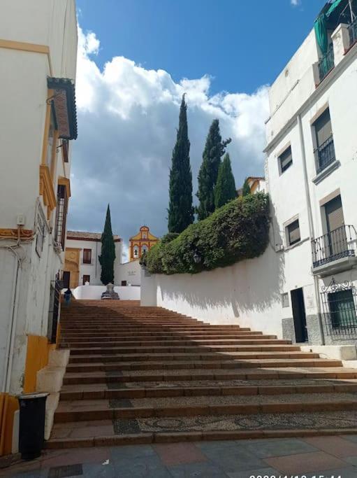 Ferienwohnung Precioso Loft En El Centro De Cordoba. Exterior foto